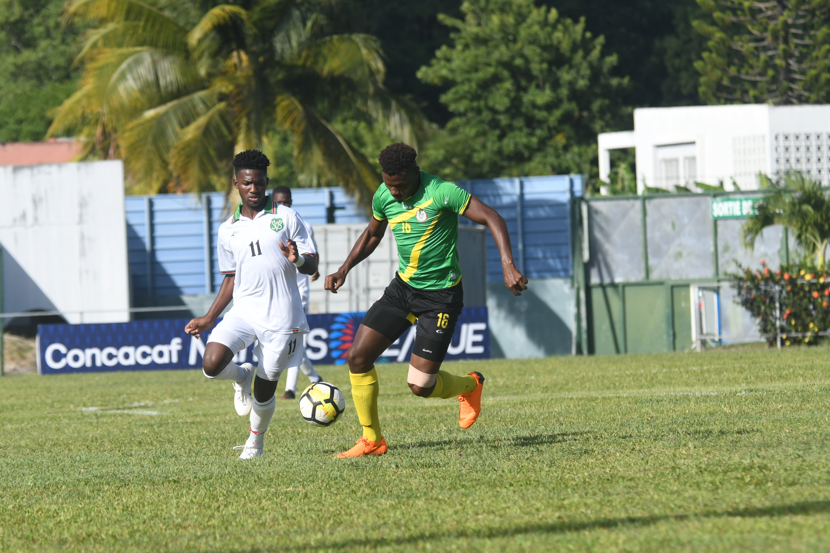 Dominica tangles with Suriname to kick off Group H in League B