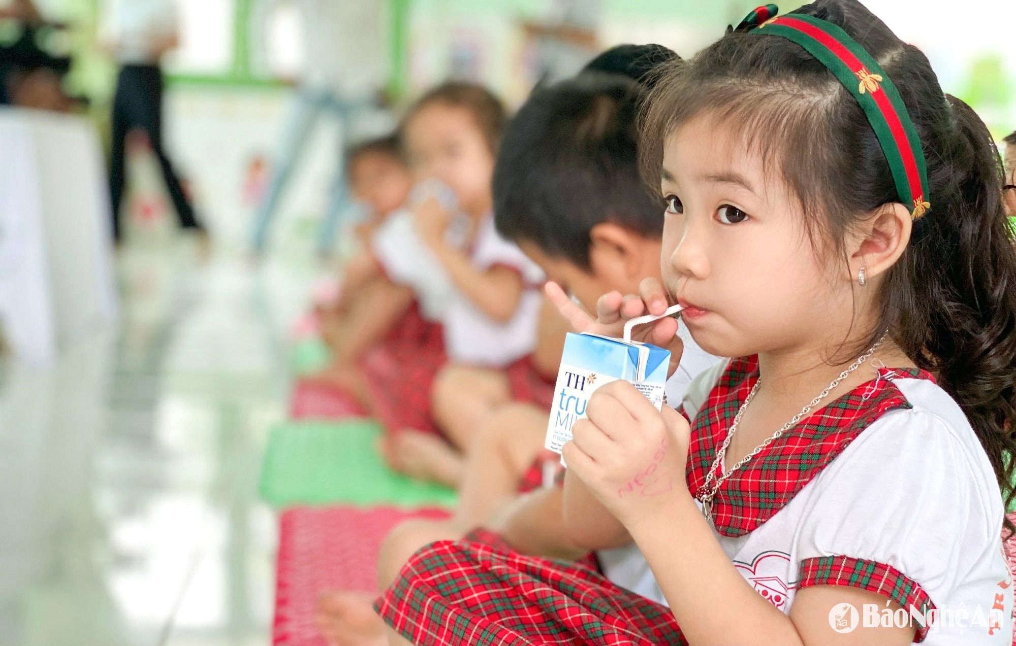 mô hình nm sữa