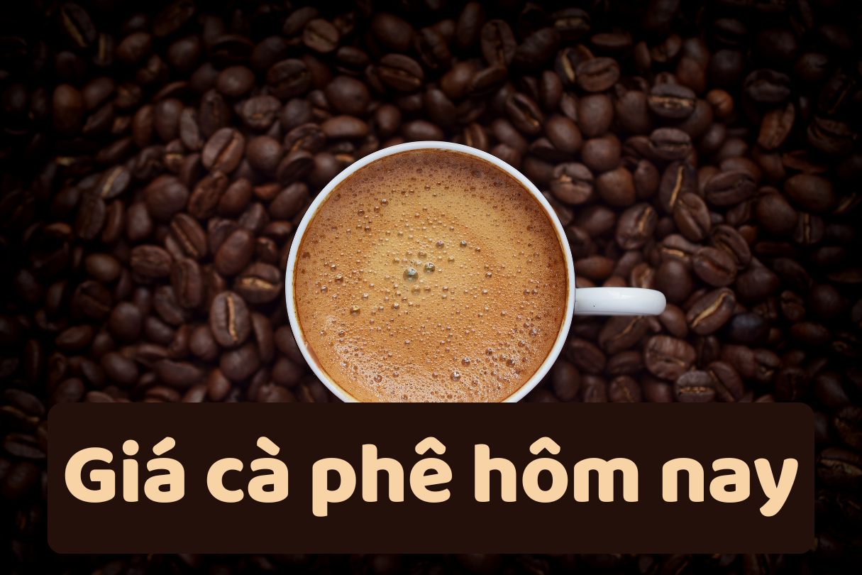 តម្លៃកាហ្វេថ្ងៃនេះ ថ្ងៃទី 24 ខែមិថុនា ឆ្នាំ 2025៖ ការព្យាករណ៍នឹងធ្លាក់ចុះបន្ថែមទៀត