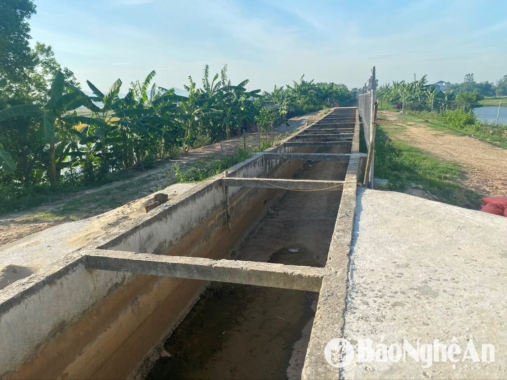 សាលា ៤