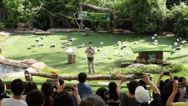 ve-vinpearl-safari-phu-quoc-651cc78109f7d.jpg