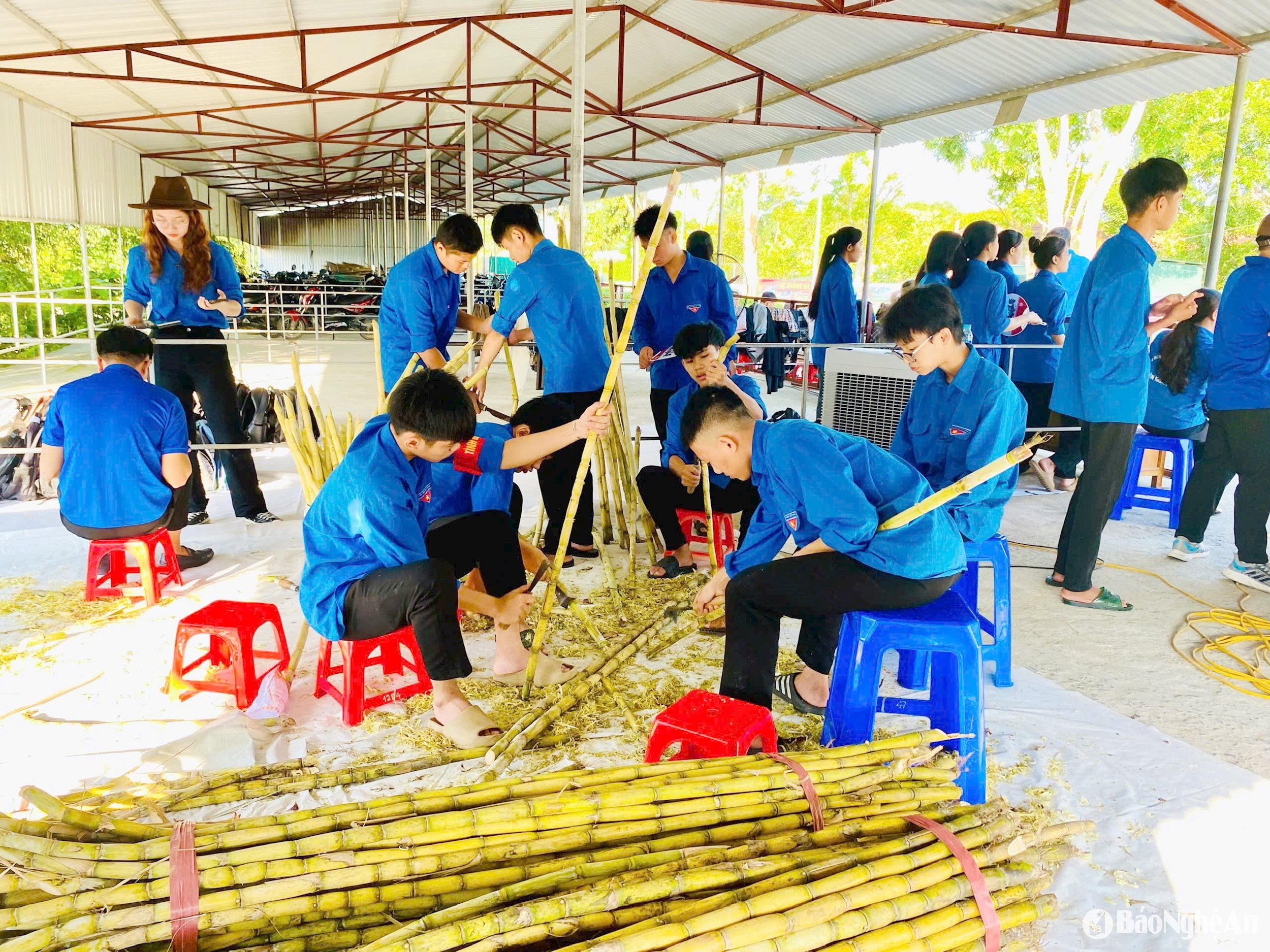 tiếp sức 4