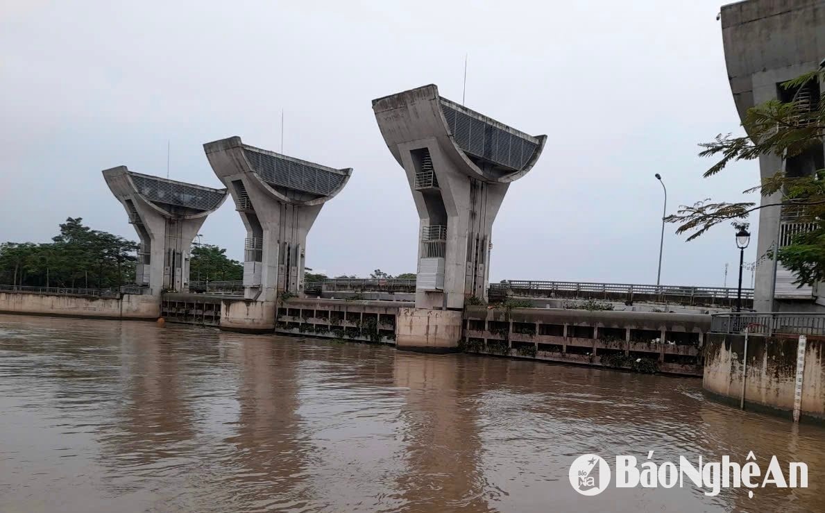 bna_van-truong-m4678.jpeg