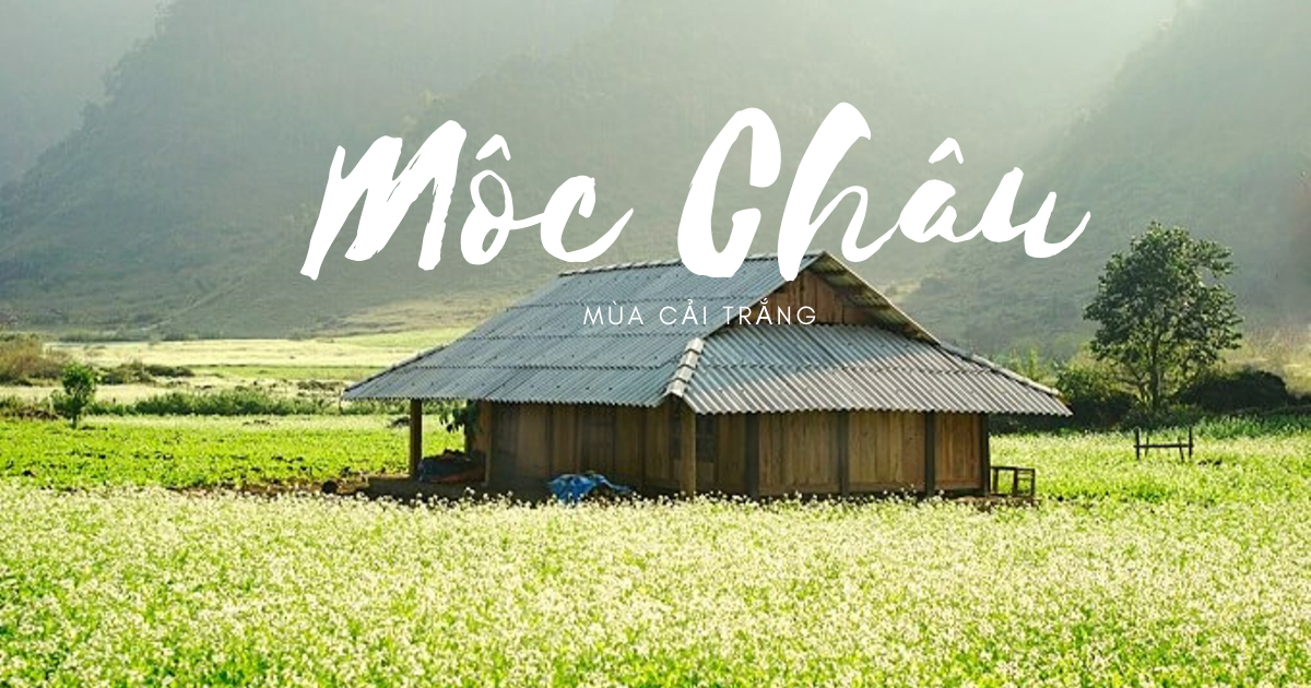 moc-chau.png
