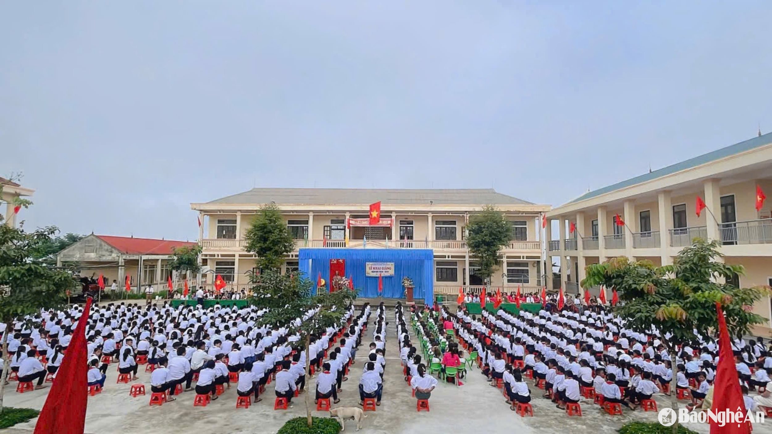 bna_a.jpg