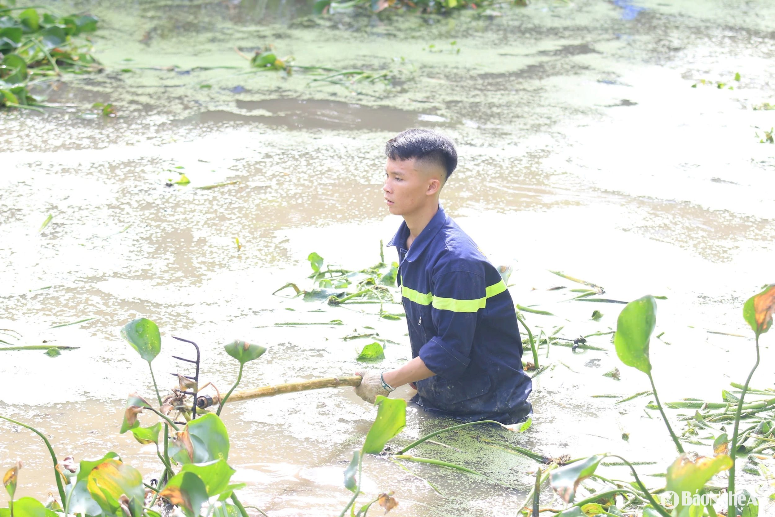 ធ្នឹម