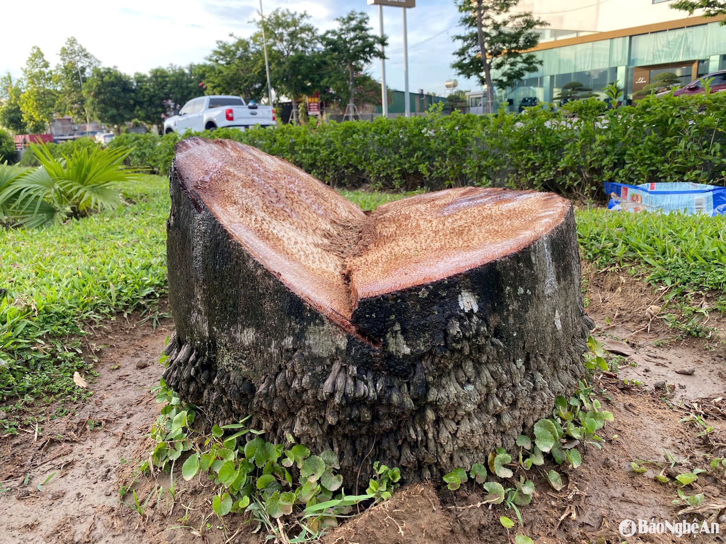 សំណួរទី 3