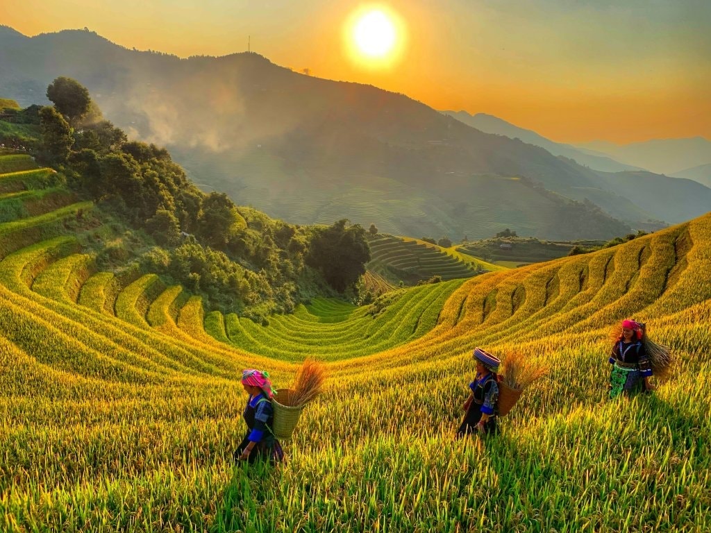 Một ngày khám phá Thung Lũng Tú Lệ, Bali của Việt Nam
