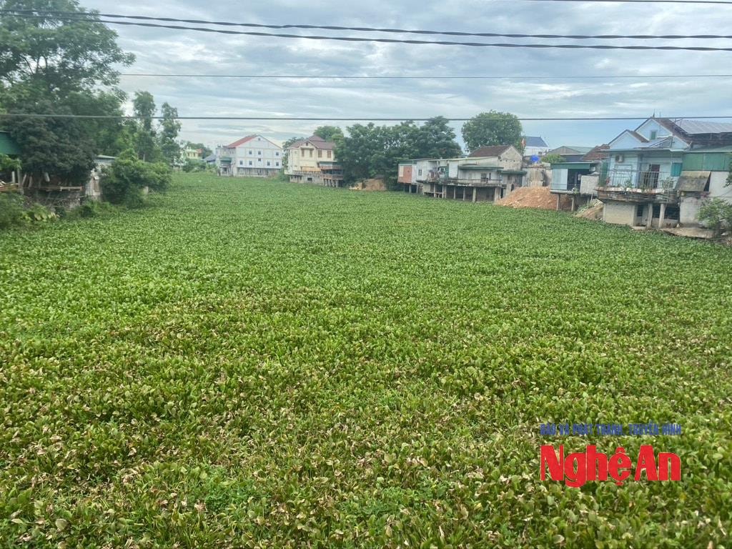 bna_van-truong-m4456-69a438aed79f03fc81a151952297c31e(1).jpeg