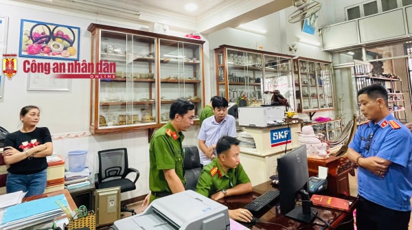 Bắt giam cặp vợ chồng ở Cà Mau lừa đảo trên 27 tỷ đồng -1
