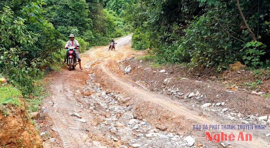 Gian nan đường vào 2 bản Cò Phạt, bản Búng. Ảnh: Nguyễn Nam