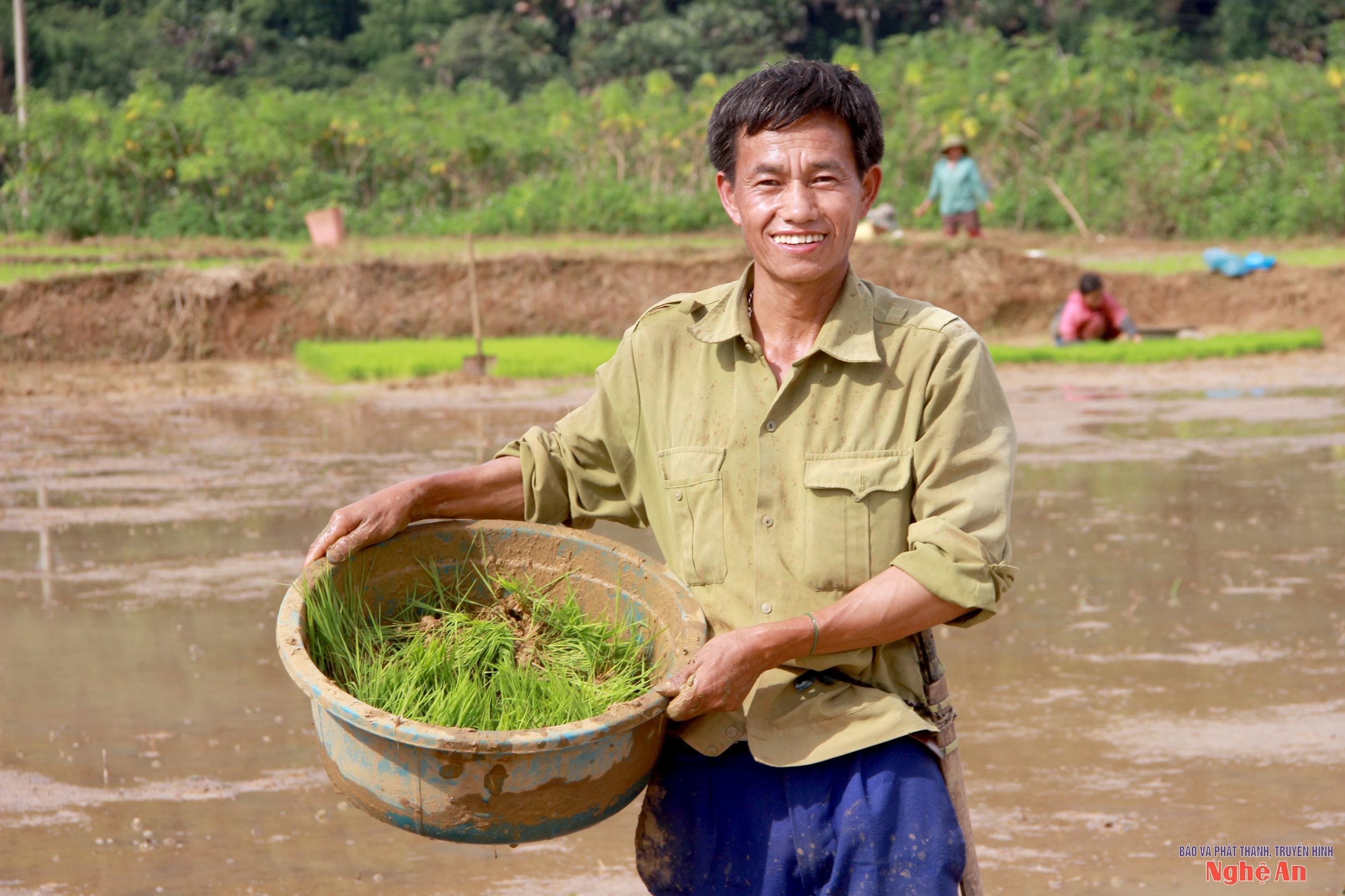 Ông Lỳ Nỏ Cha ở bản D1, xã Tri Lễ, vụ mùa này gieo cấy 7a ruộng bậc thang, bằng giống lúa nếp. Ông Lỳ Nỏ Cha cho biết, cả gia đình ra đồng làm đất, cấy lúa từ 3 ngày nay, dự kiến sẽ kết thúc gieo cấy vào ngày 5/7. Ảnh: Xuân Hoàng