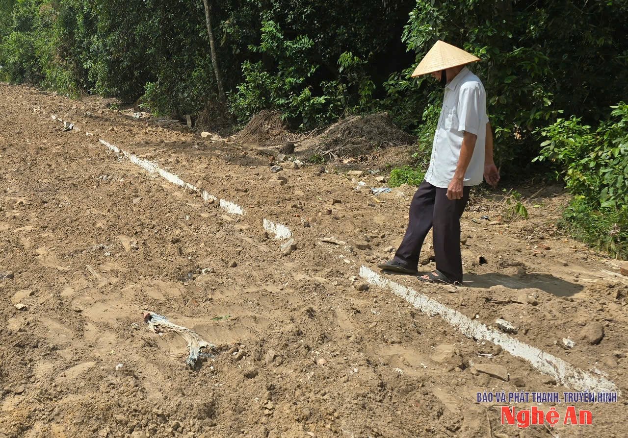 bna_anhduong3.jpg
