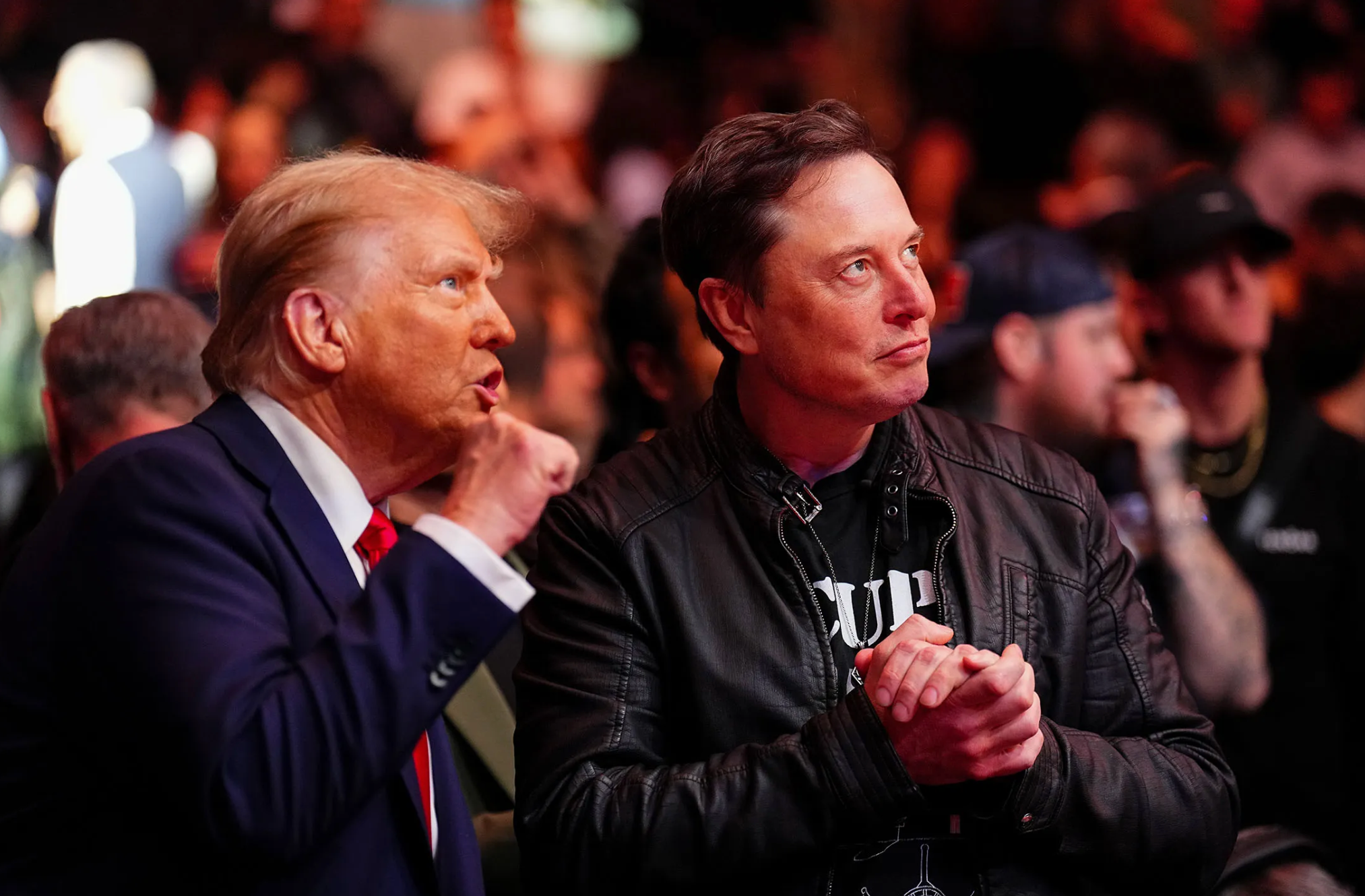 Doanh nghiệp Mỹ ra sức thân mật với Elon Musk - Nhịp sống kinh tế Việt Nam & Thế giới