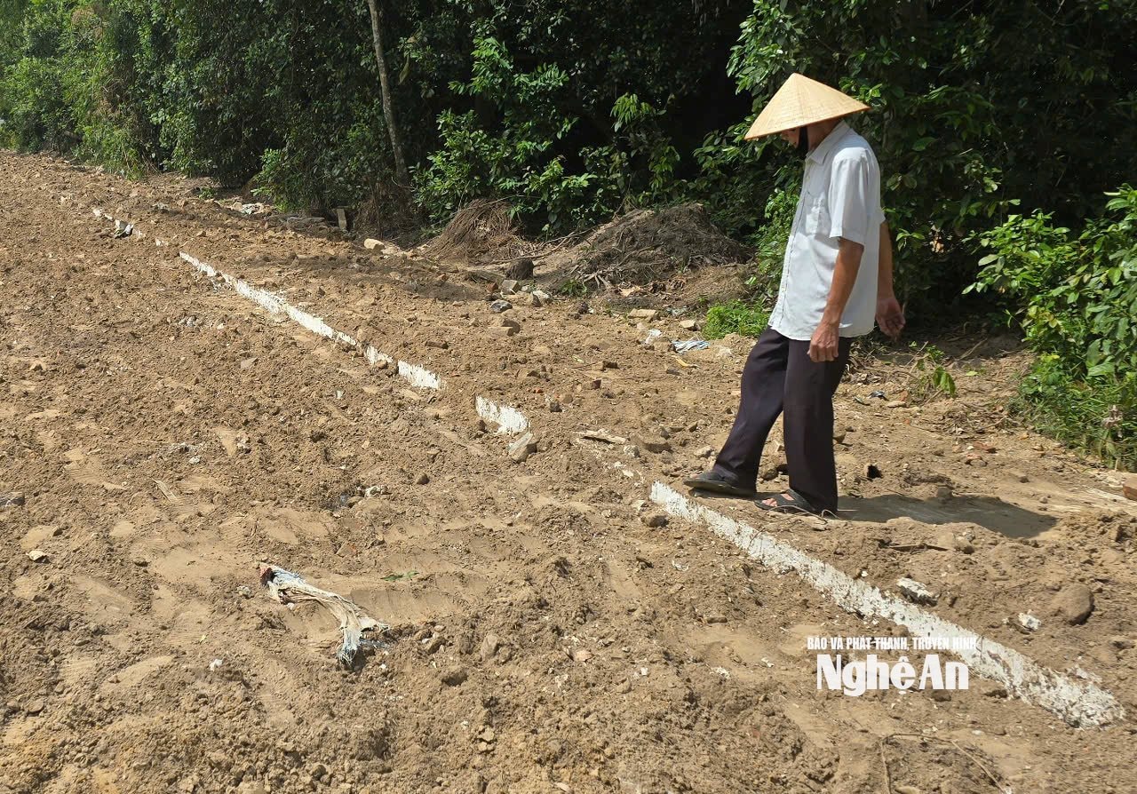 bna_anhduong3.jpg