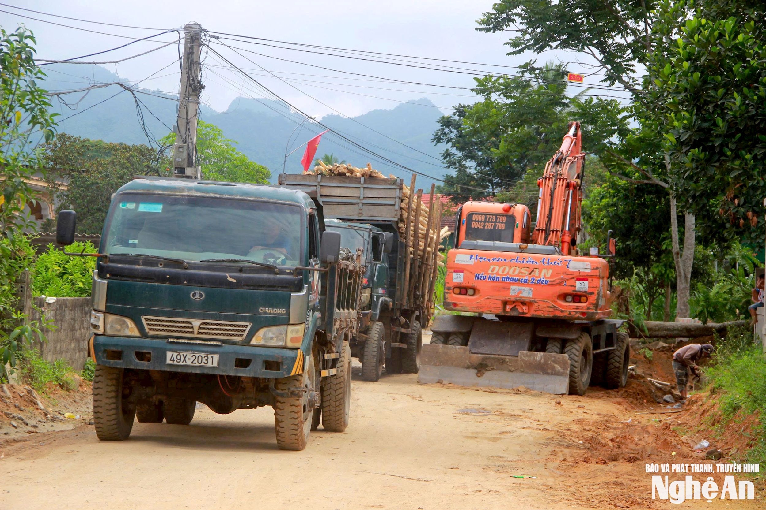 dự án 11