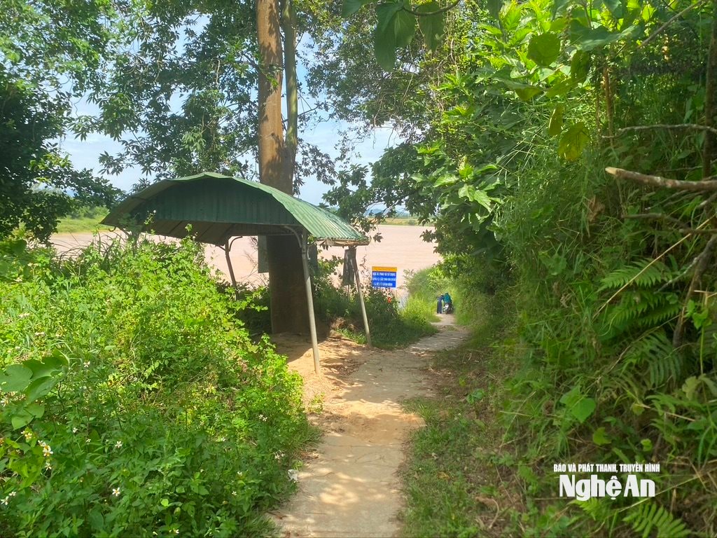 វ៉ាល់ m456