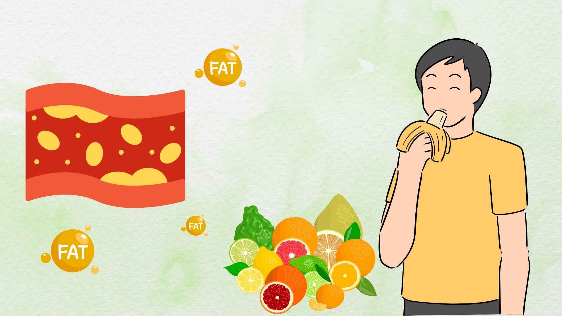 Mỡ máu cao: Ăn gì để tránh đột quỵ và sống khỏe?