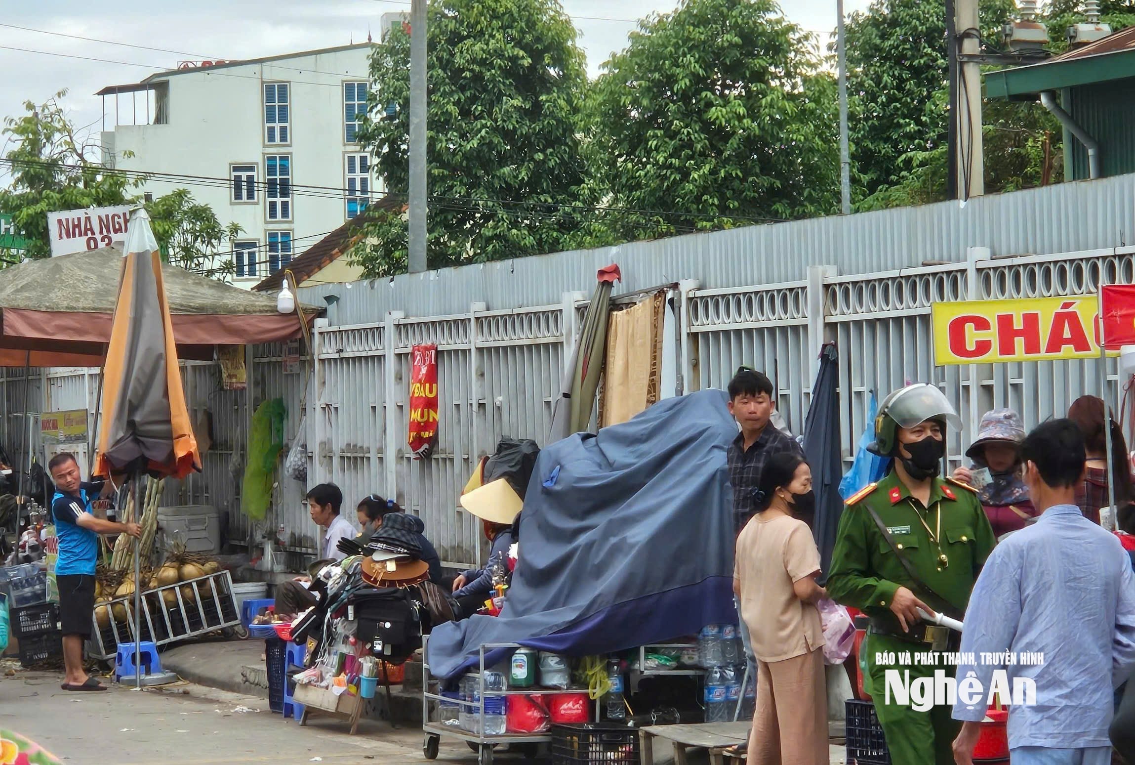 12.ảnh pv