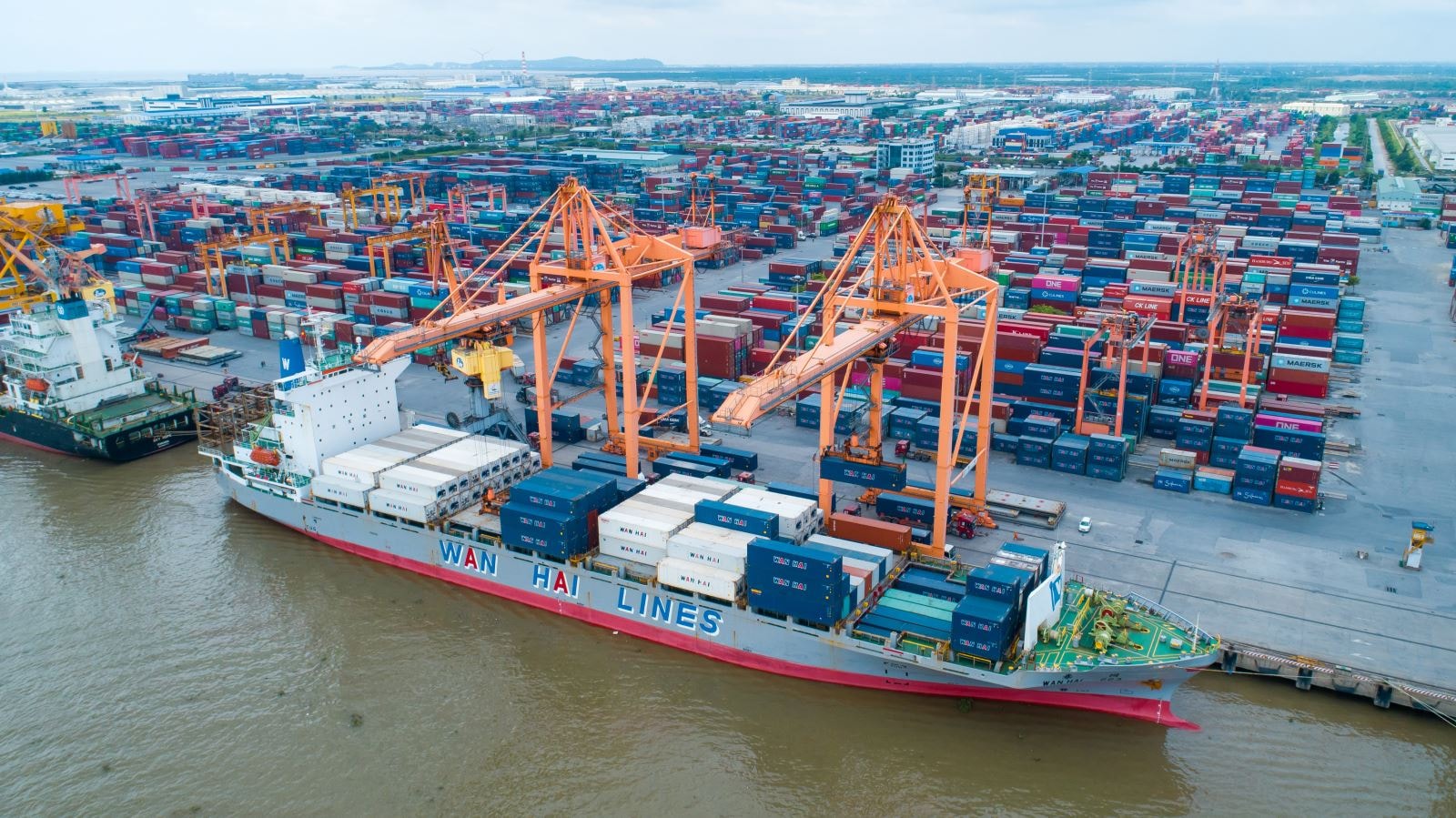 Việt Nam kiên quyết loại trừ hàng đội lốt