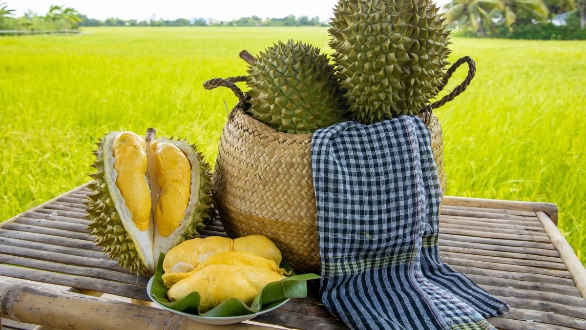 Giá sầu riêng rẻ kỷ lục, người dân Hà Nội thoải mái thưởng thức 'vua trái cây'