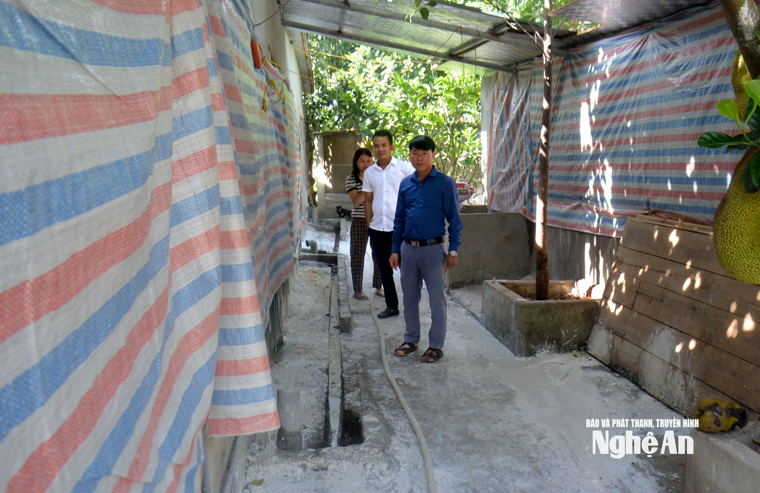 Một khu vực chuồng trại của người dân xã Hoa Quân được thực hiện các giải pháp phòng bệnh. Ảnh: Xuân Hoàng