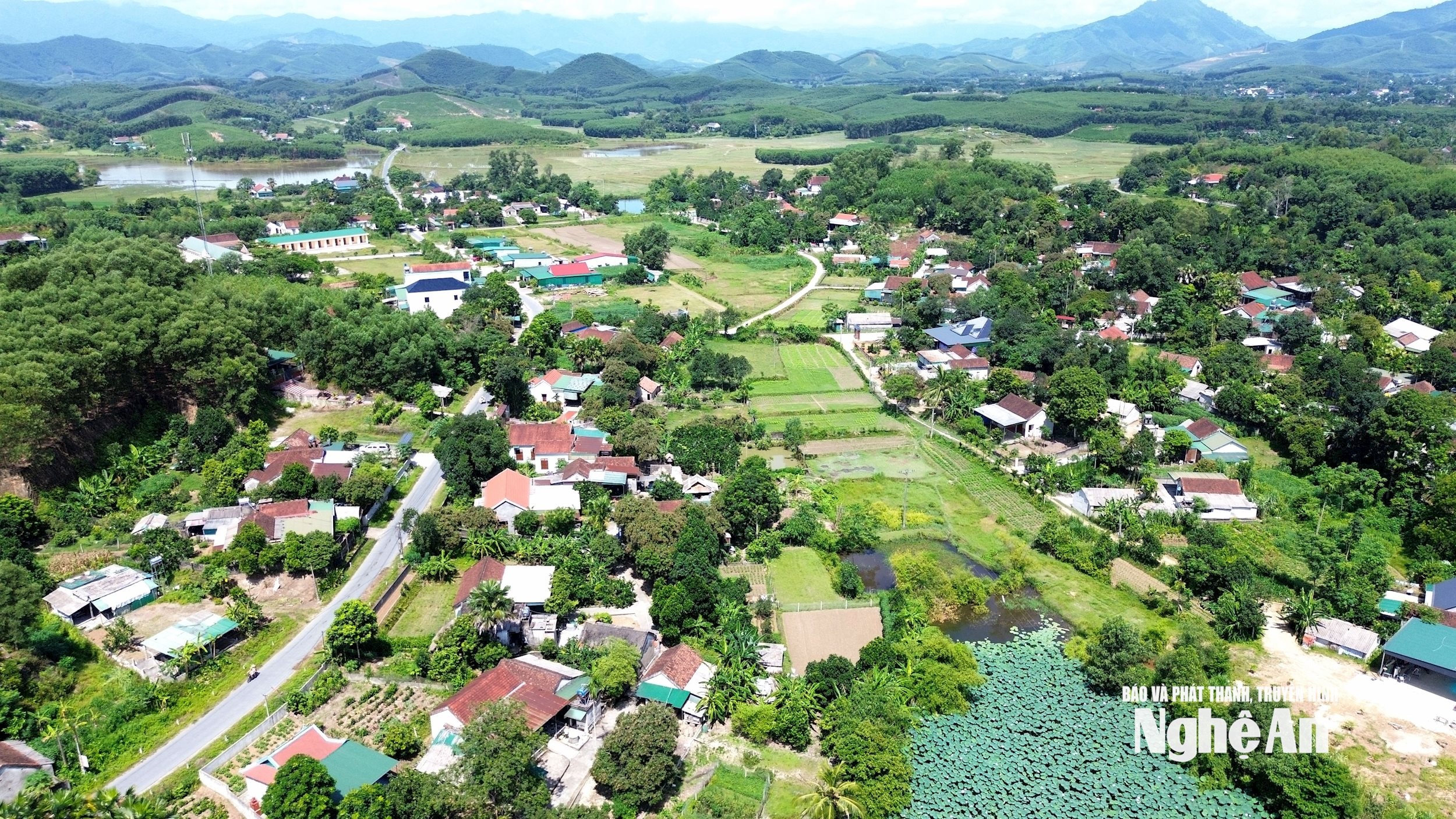 hoa quân 4