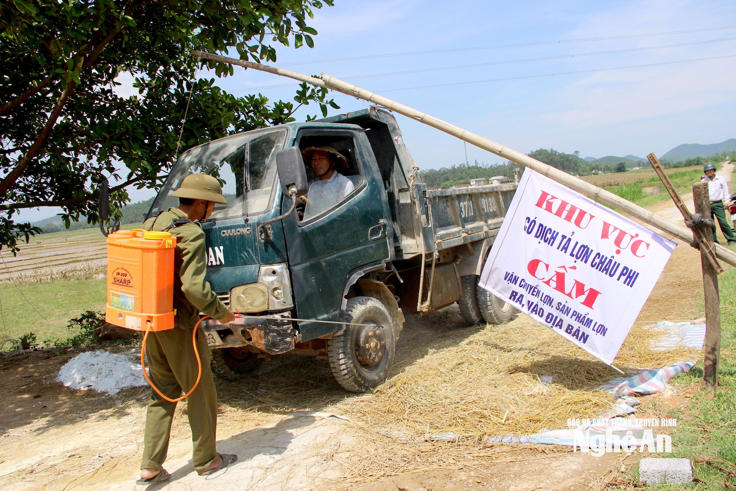 Các điểm dịch tả lợn châu Phi phải lập chốt kiểm dịch để kiểm soát. Ảnh