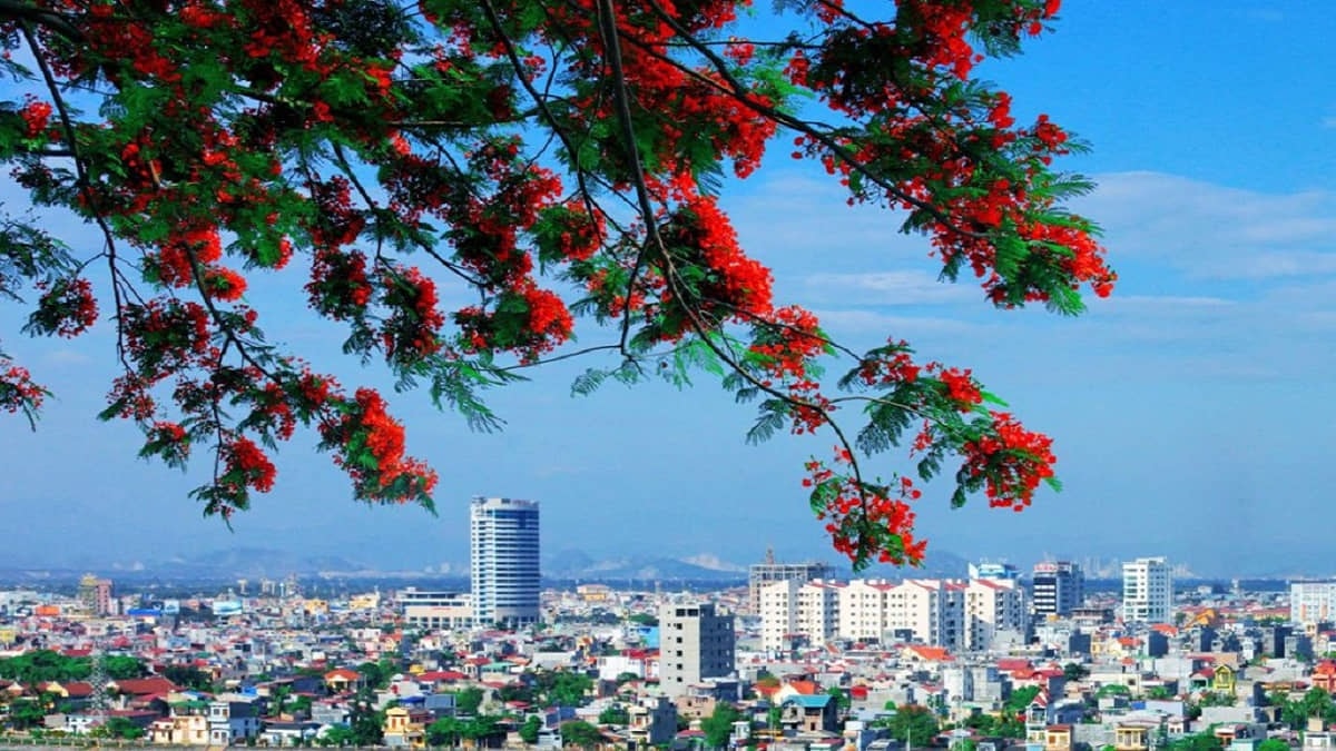 Du lịch Hải Phòng 2 ngày 1 đêm - Lịch trình chi tiết