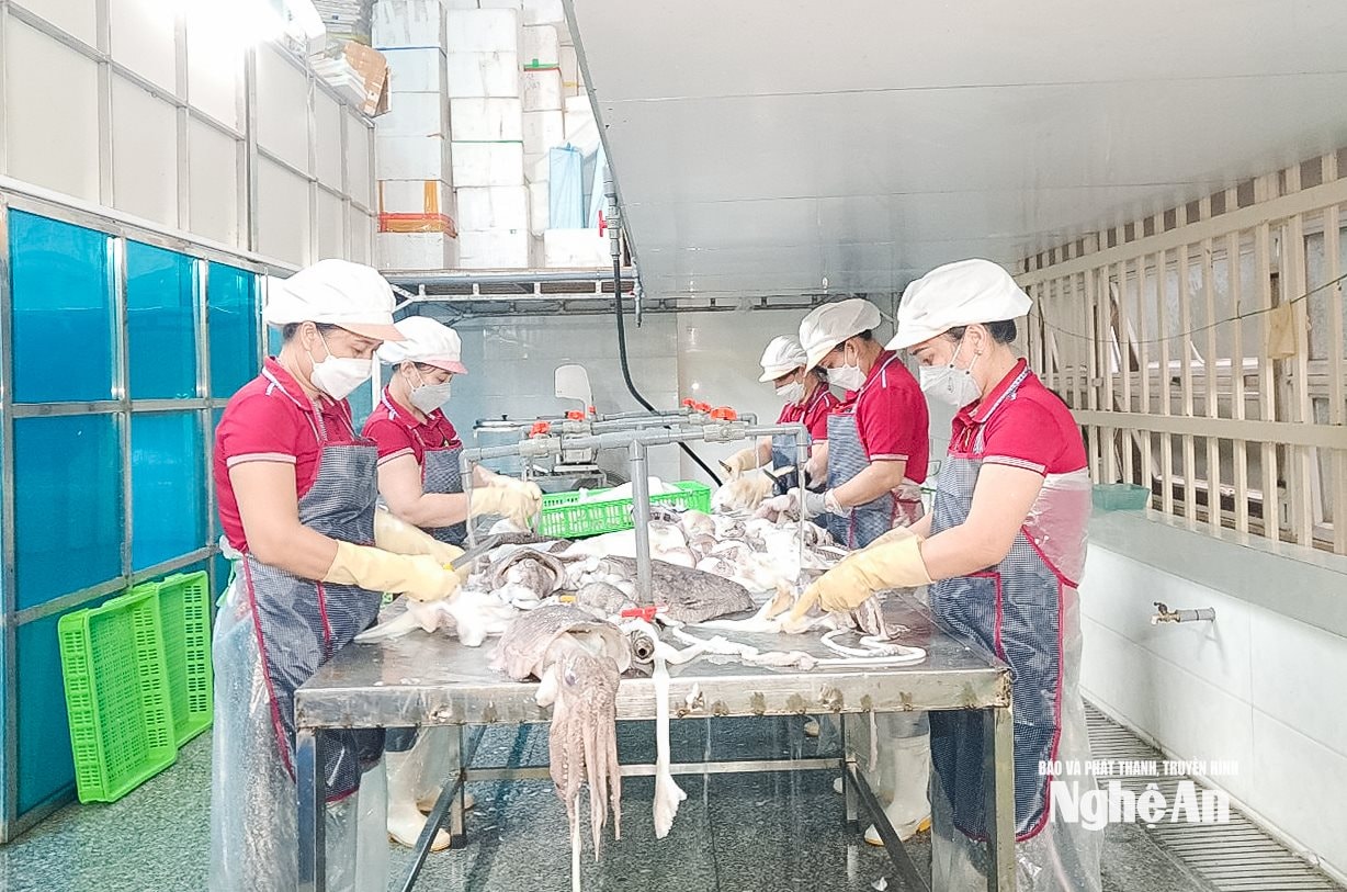 Chế biến hải sản