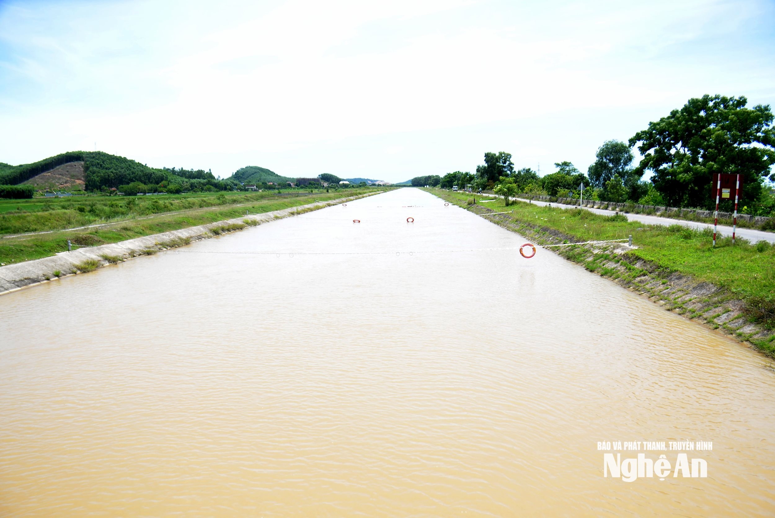 xác lọn 3