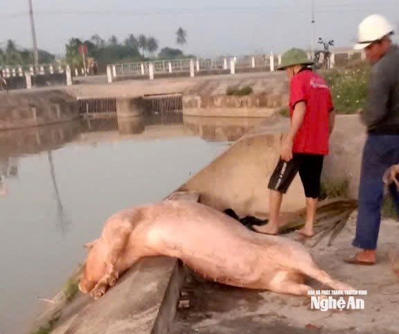 văn trường 1