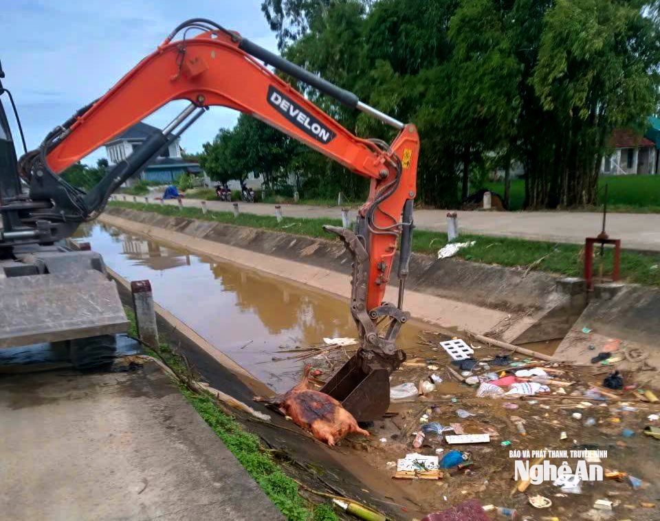 bna_minh.jpg