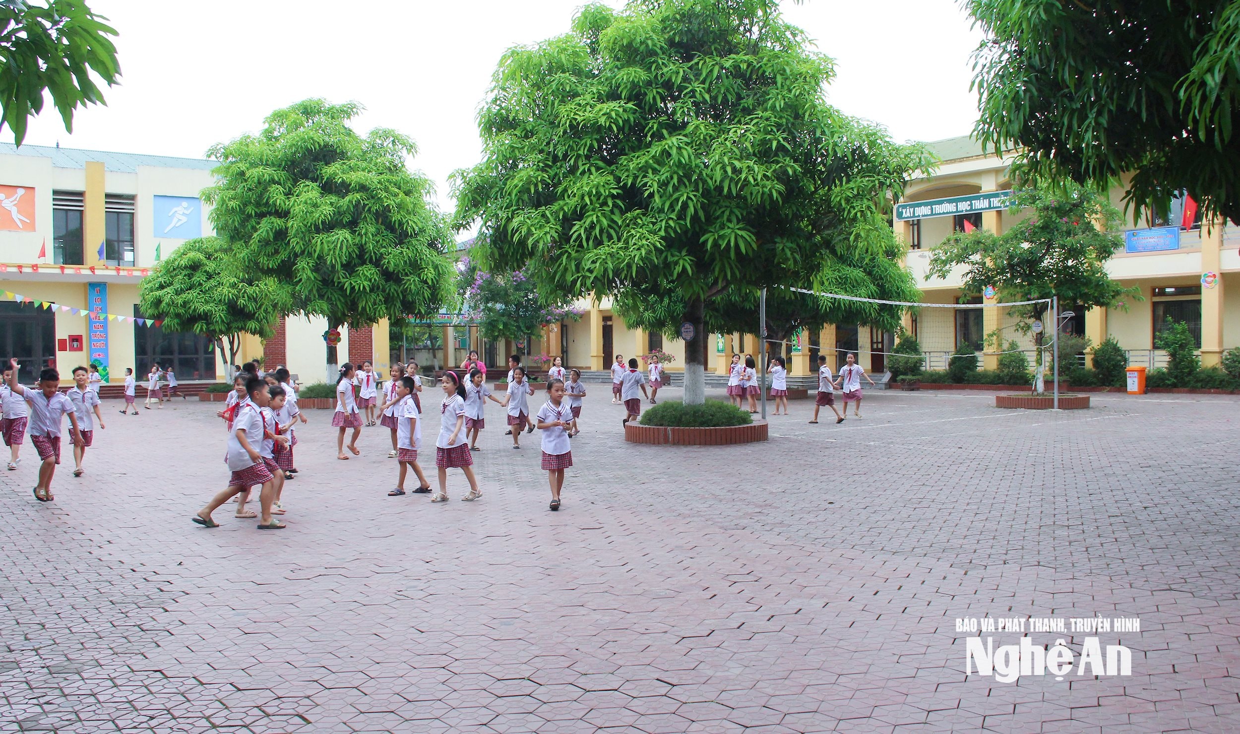  Trường tiểu học đạt chuẩn quốc gia. Ảnh Mai Hoa
