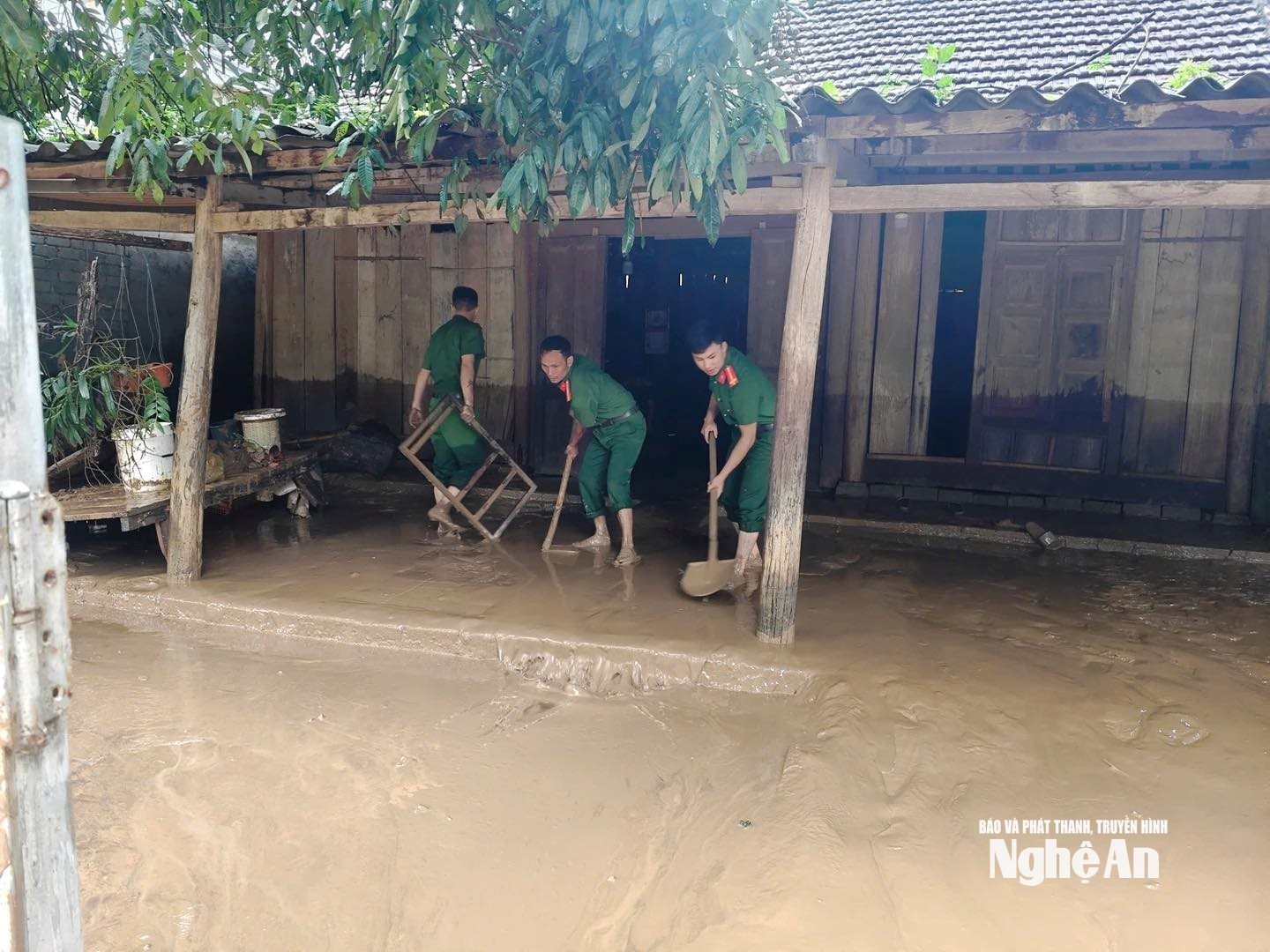 65.ảnh pv
