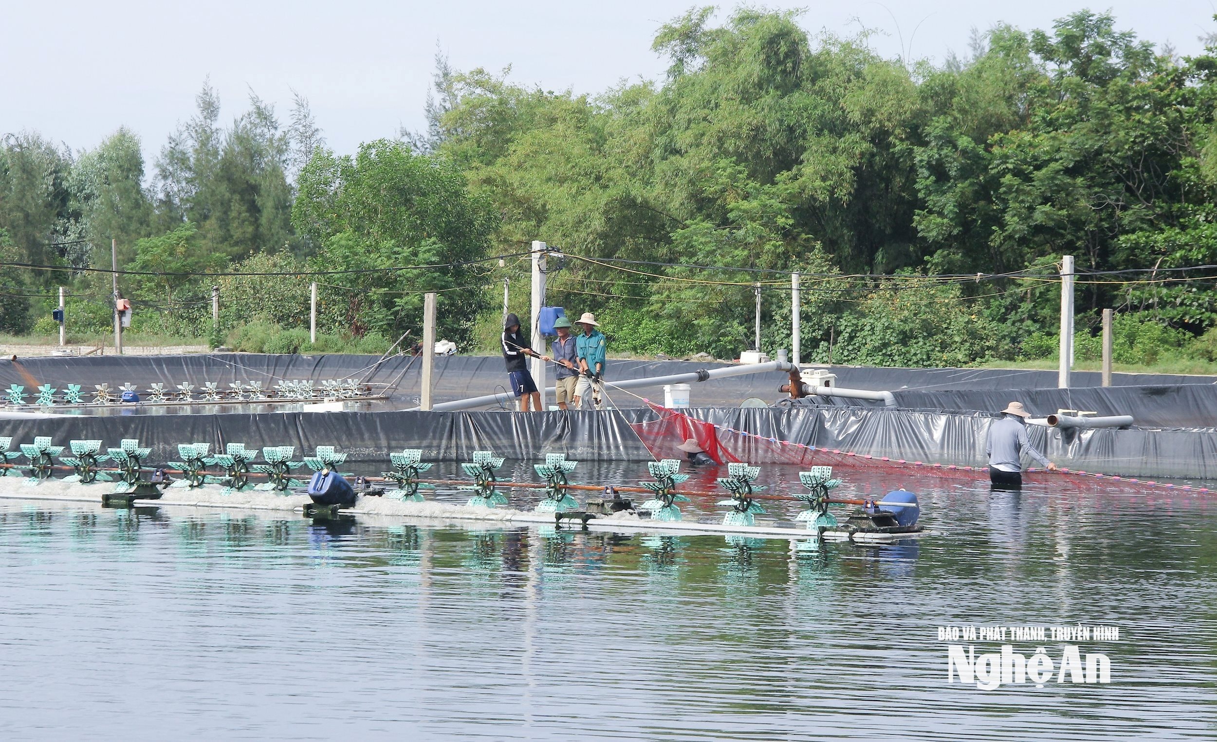 Mô hình nuôi tôm thẻ chân trắng tại xã An Châu. Ảnh: Mai Hoa