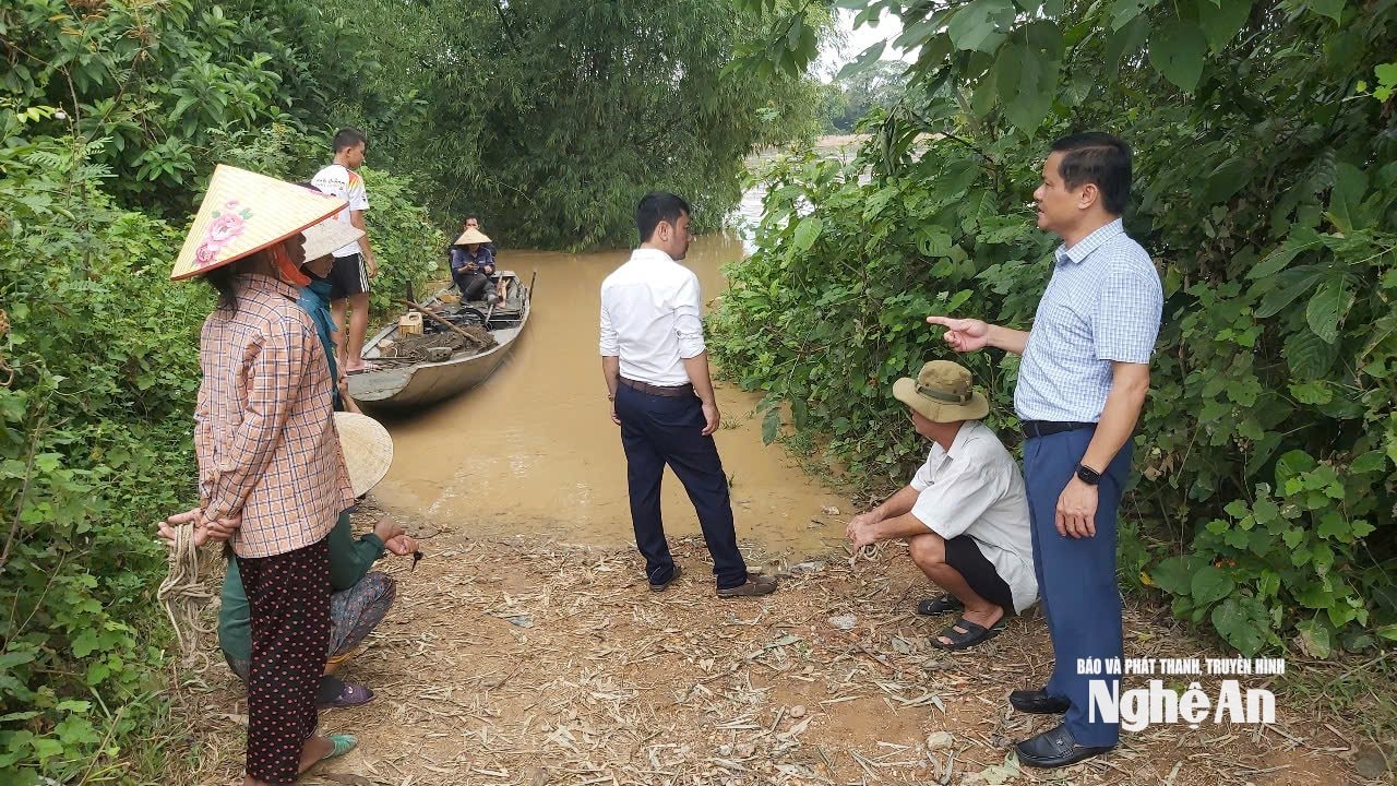 giải cứu bò 5