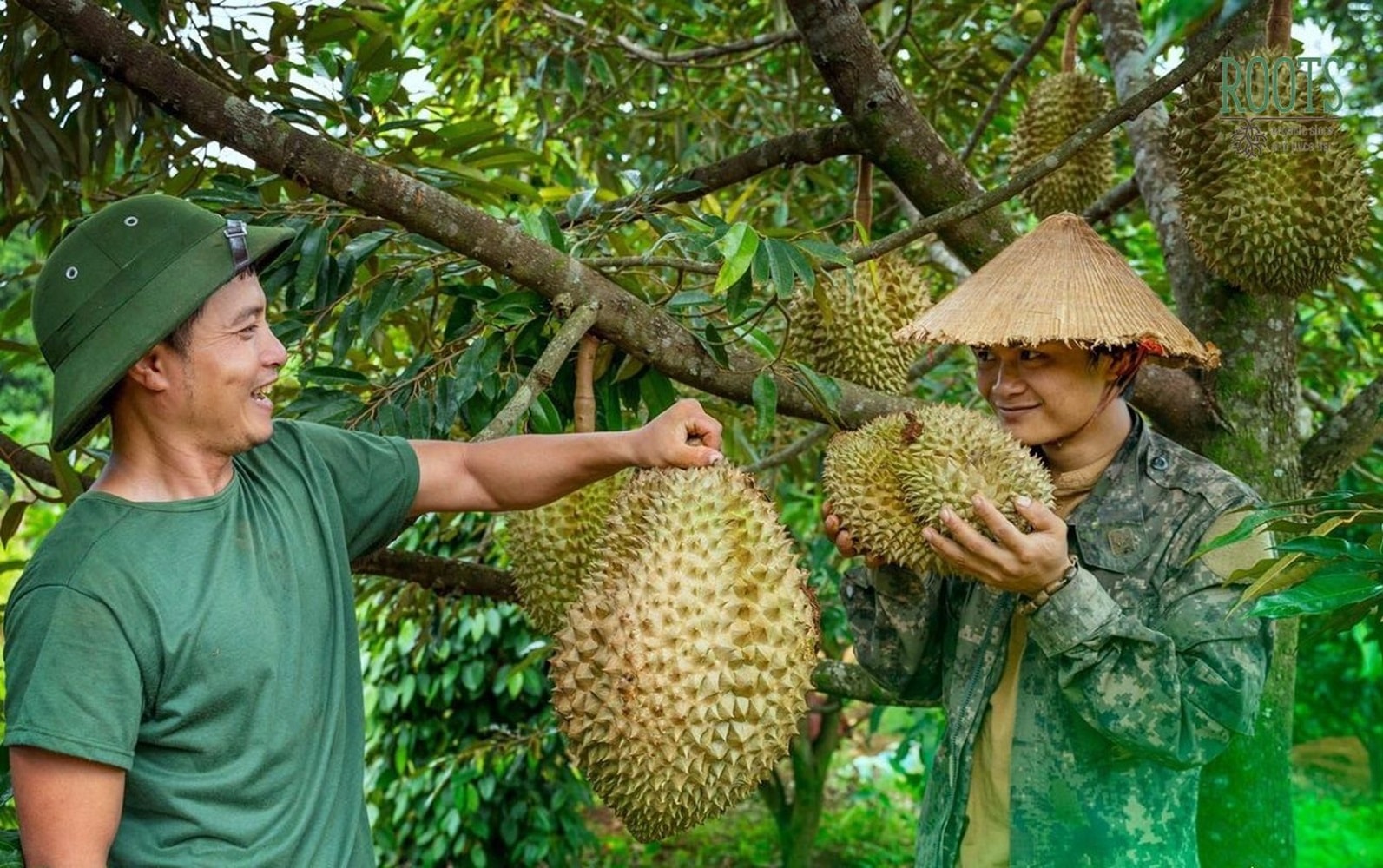 Sầu riêng Việt Nam phục hồi xuất khẩu sang Trung Quốc