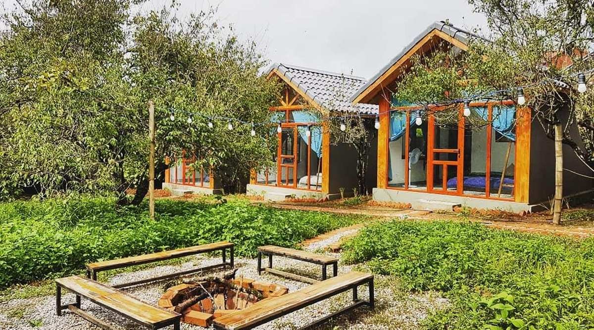 Tour Mộc Châu 2 ngày 1 đêm: Thỏa sức hái mận tại vườn