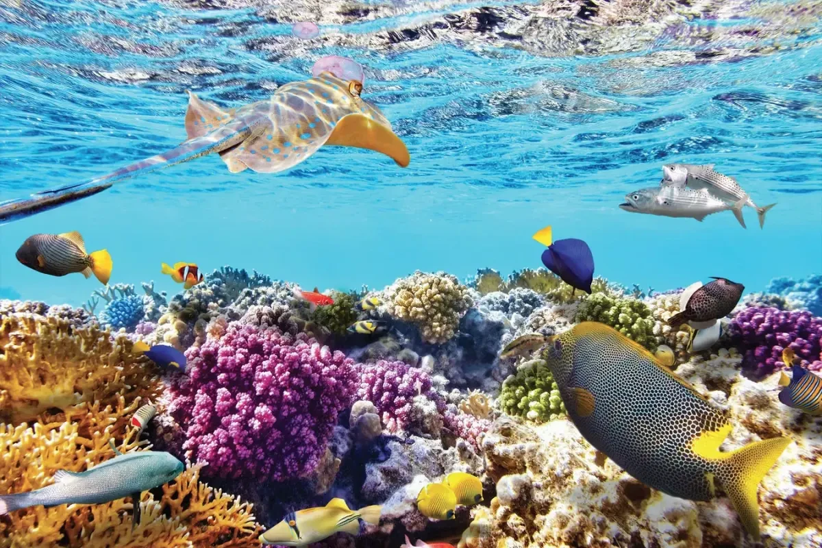 Lịch trình Nha Trang 4 ngày 3 đêm: Lịch trình ăn - ở chi tiết