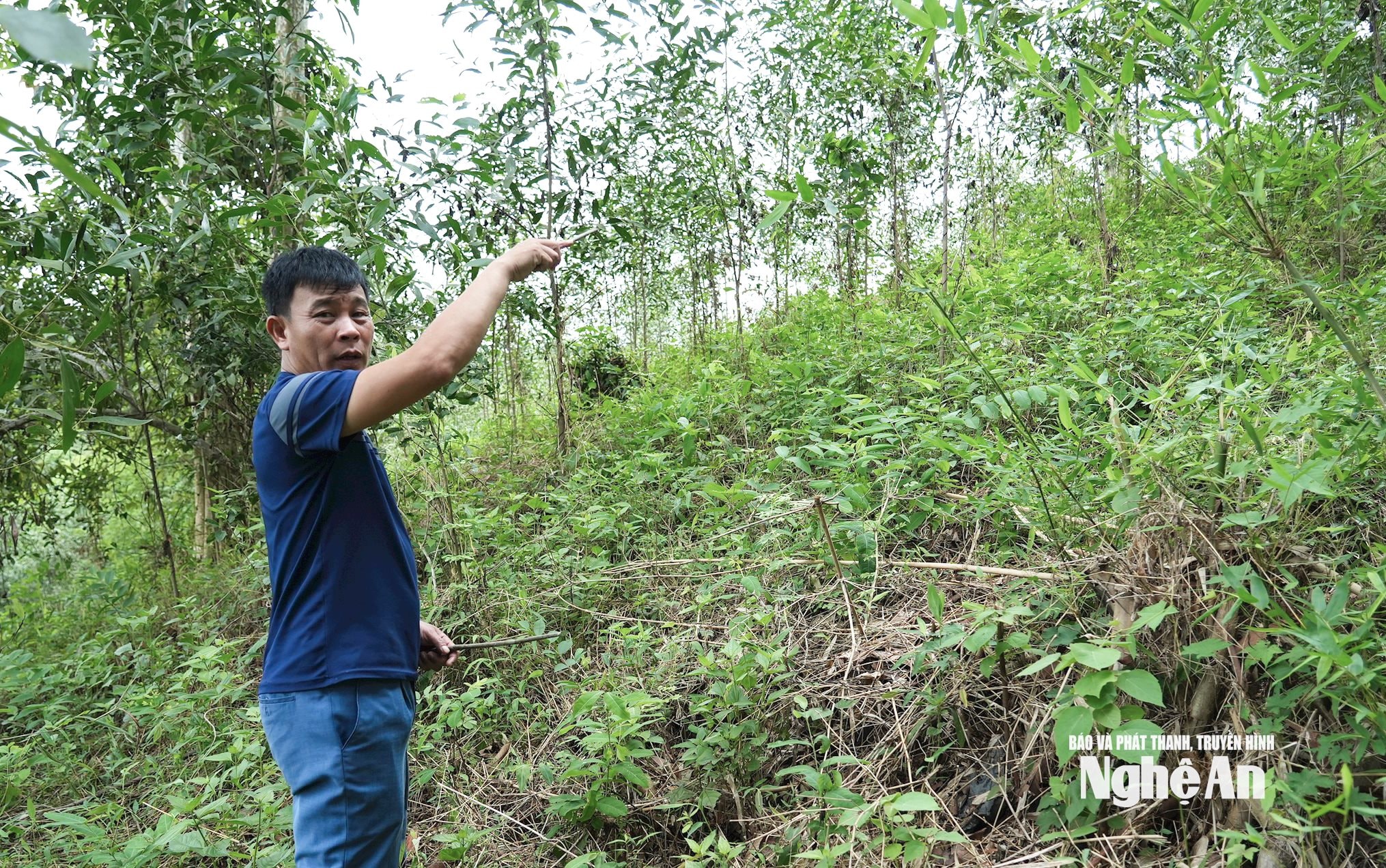 ông lê thanh hải
