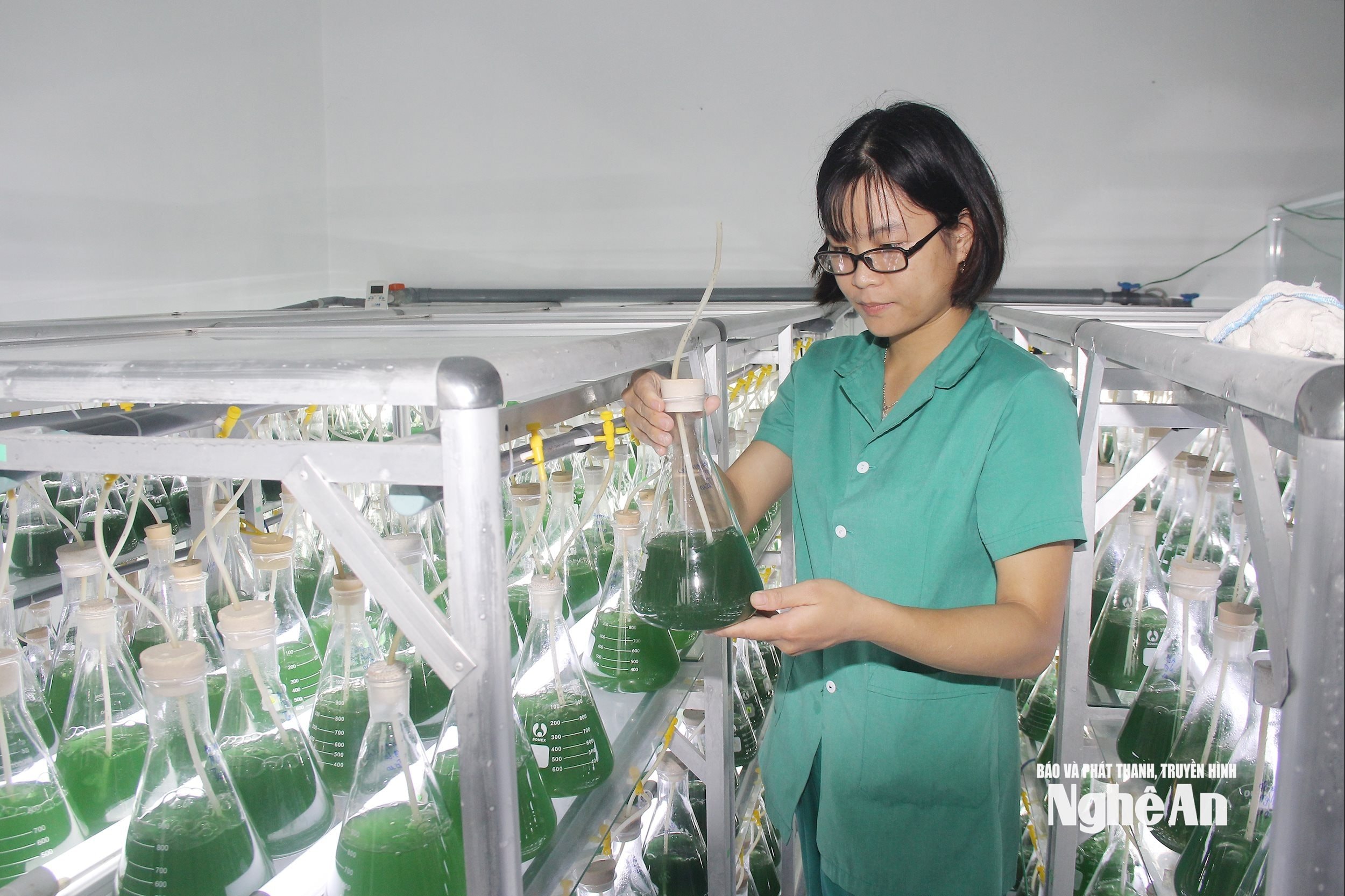 Nghiên cứu tạo ra các sản phẩm tảo tại Công ty CP Khoa học công nghệ Tảo VN. Ảnh- Mai Hoa
