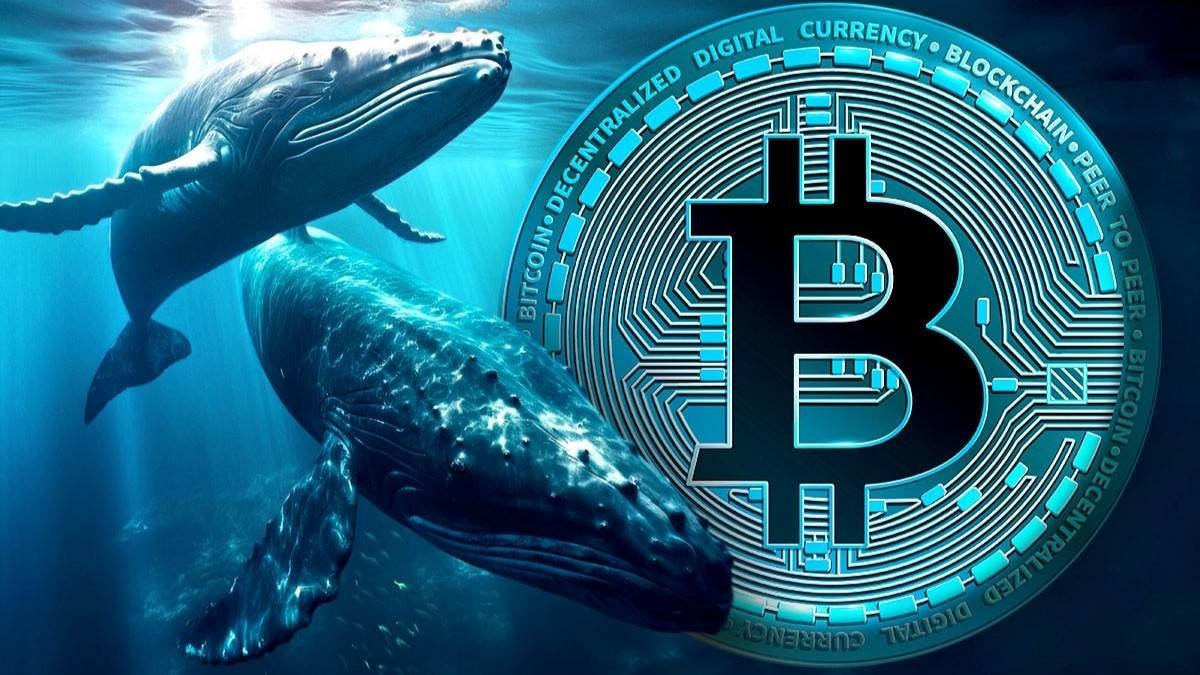 Cá voi Bitcoin chốt lời tỷ USD: Lợi nhuận khủng từ chiến lược HODL
