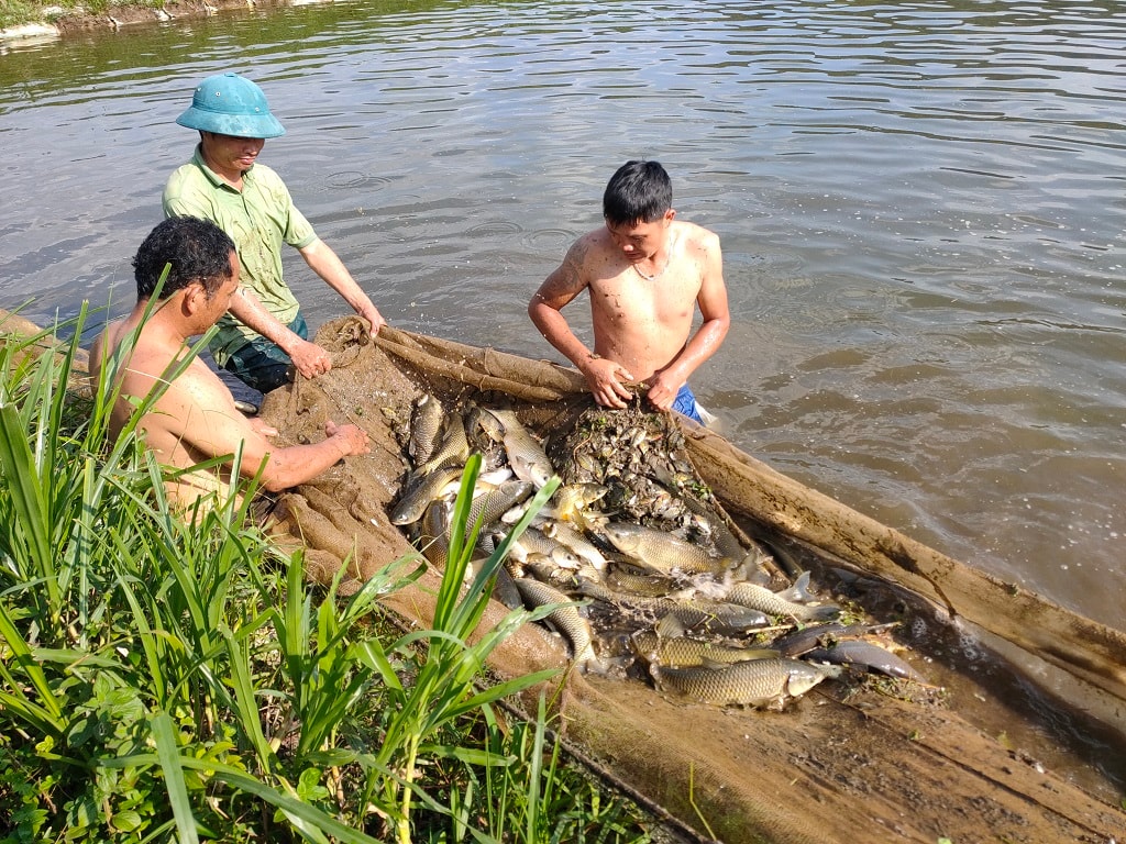 Việt Nam vượt mặt Trung Quốc, Na Uy, vươn lên top 3 nhà cung ứng thuỷ sản lớn nhất tại quốc giá này