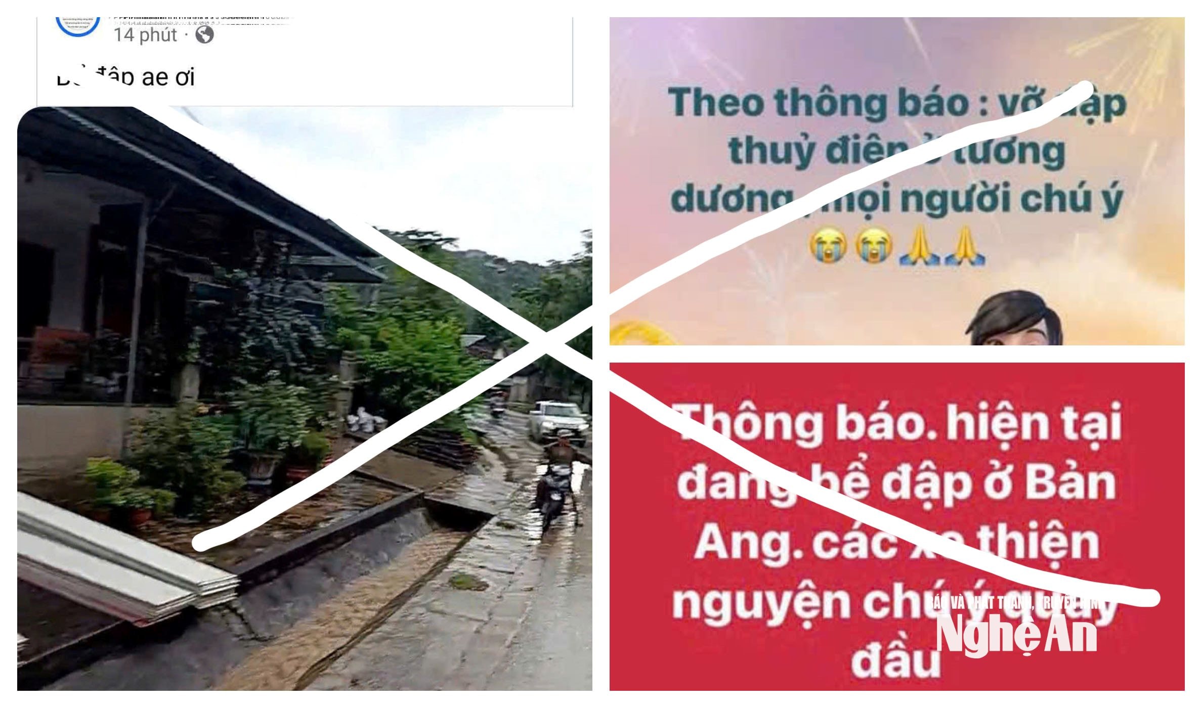 thong bao