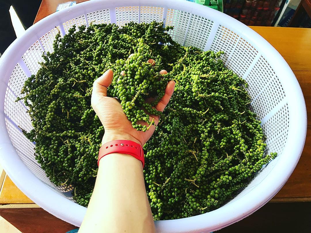 Giá tiêu hôm nay 1/8/2025: Tăng mạnh lên 140.000 đồng/kg