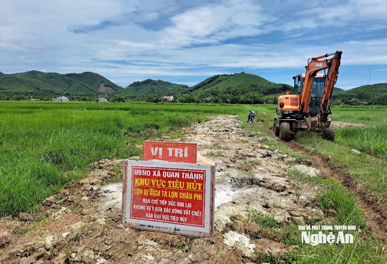 Một vị trí tiêu hủy lợn của xã Quan Thành. Ảnh: XH