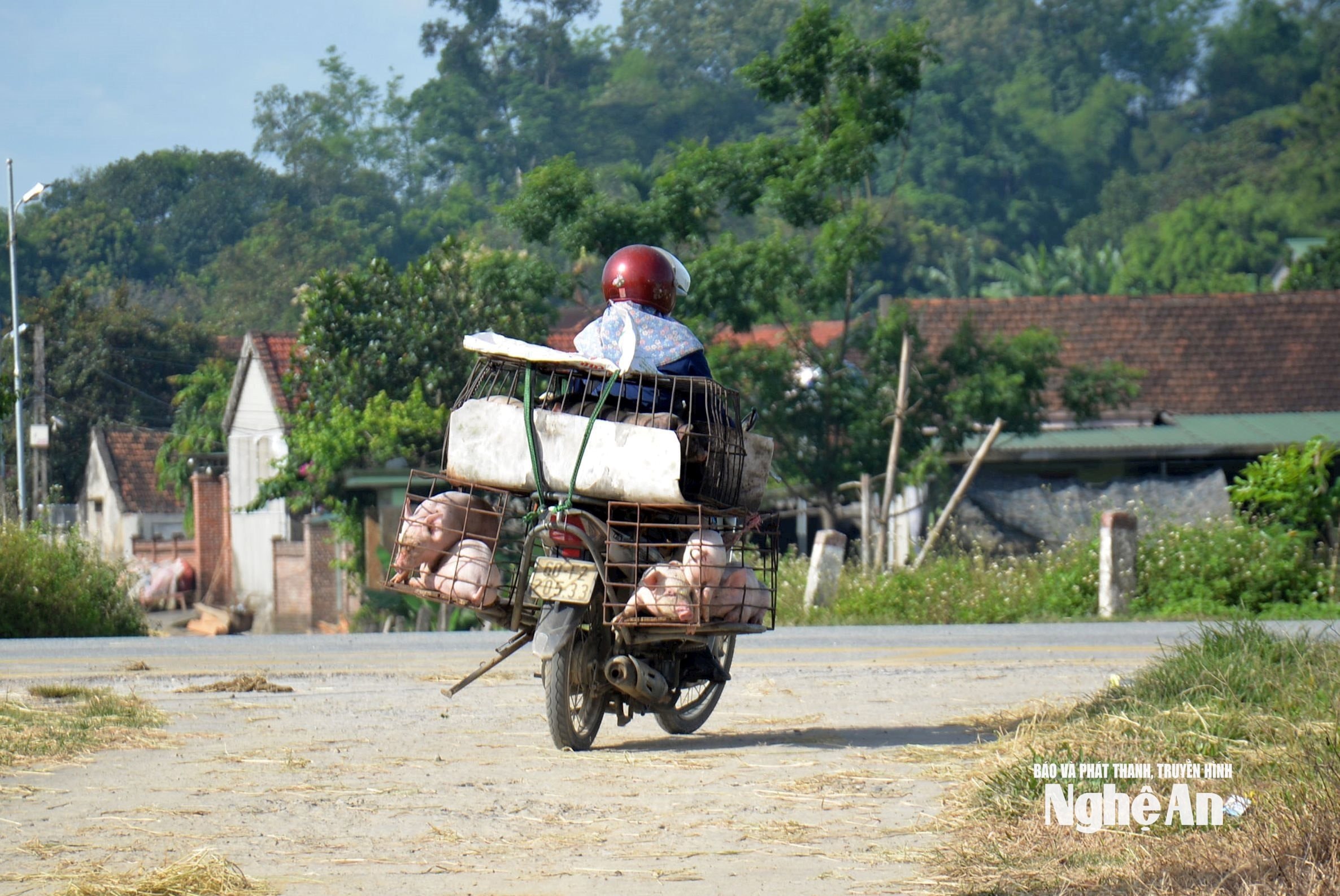 vạn chuyển