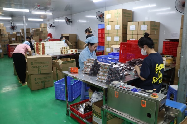 Khởi tố đường dây sản xuất thực phẩm chức năng giả quy mô lớn, bắt hai giám đốc -0