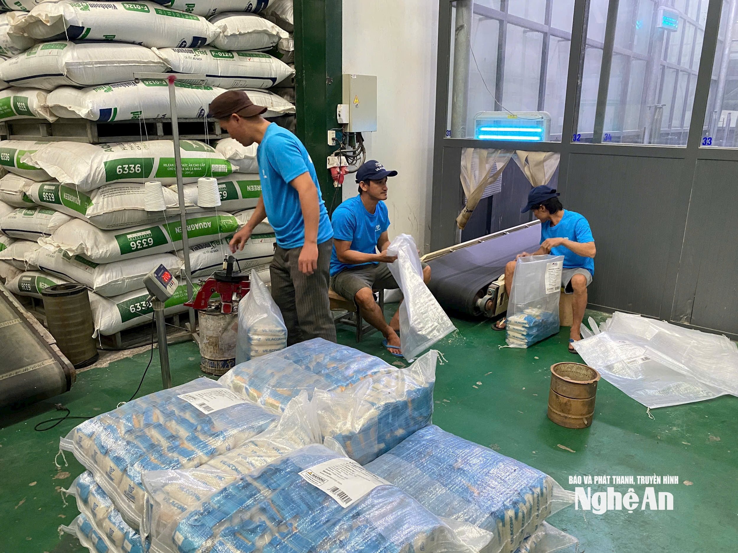 gạo ST 25 tại thị trường hoa kỳ ảnh TH
